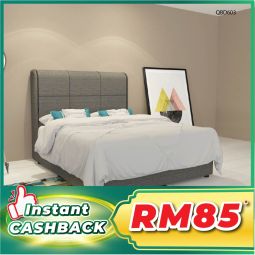 Divan Queen Size Bed without Mattress (QBD603)