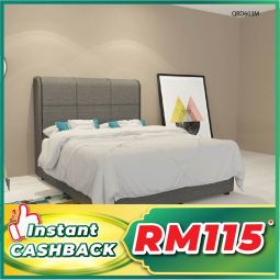 Divan Queen Size Bed with Mattress (QBD603M)