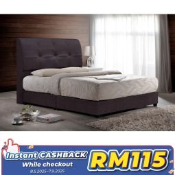 Queen Size Bed with Mattress (QBD01M)