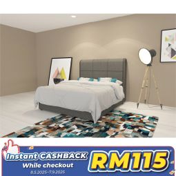 Divan Queen Size Bed with Mattress (QBD603M)