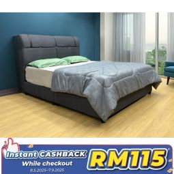 Queen Size Bed with Mattress (QBN72)