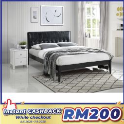 Queen Size Bed with Mattress (QBW832M)